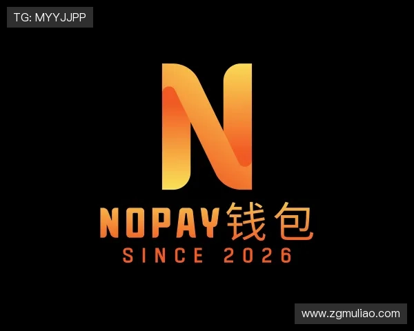 介绍NOPAY钱包